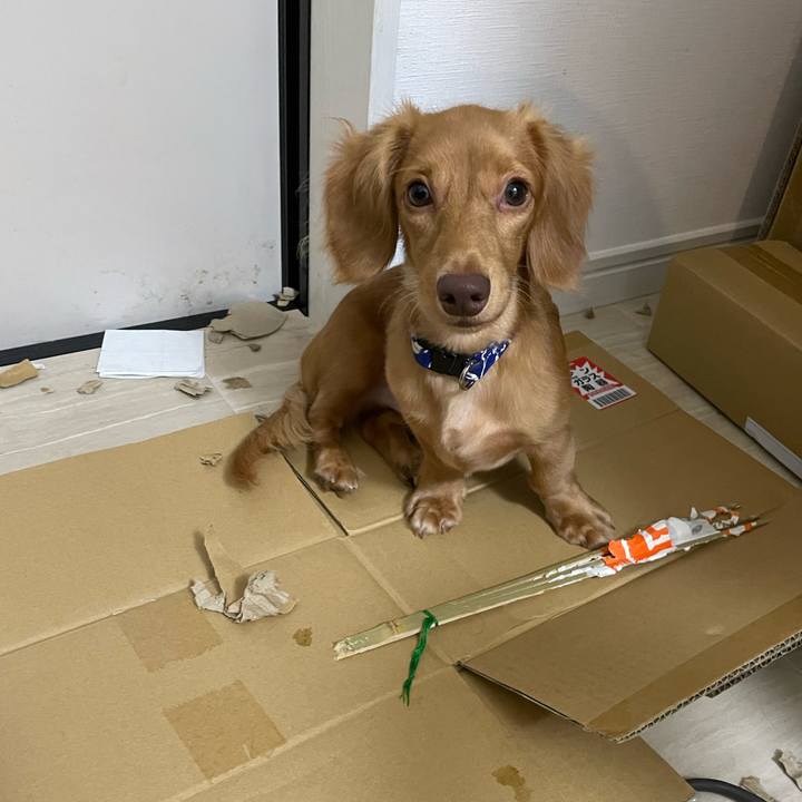 204024b7 c1bc 4dfc acd5 fc388ca8e2db 1728694758746