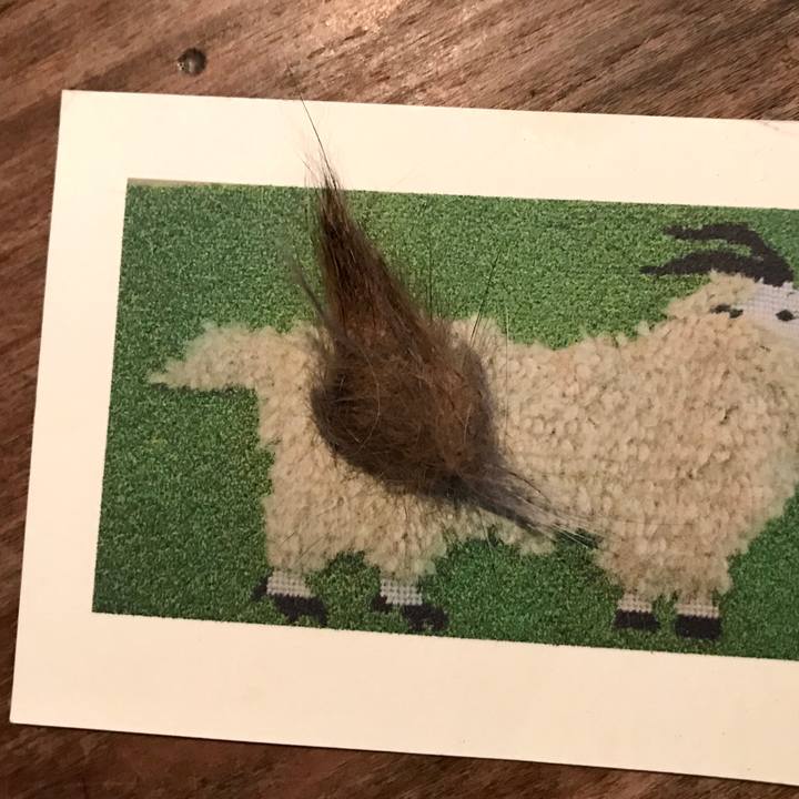 20407009 6dd4 451e 8459 8672c37c31c6 1588425839189