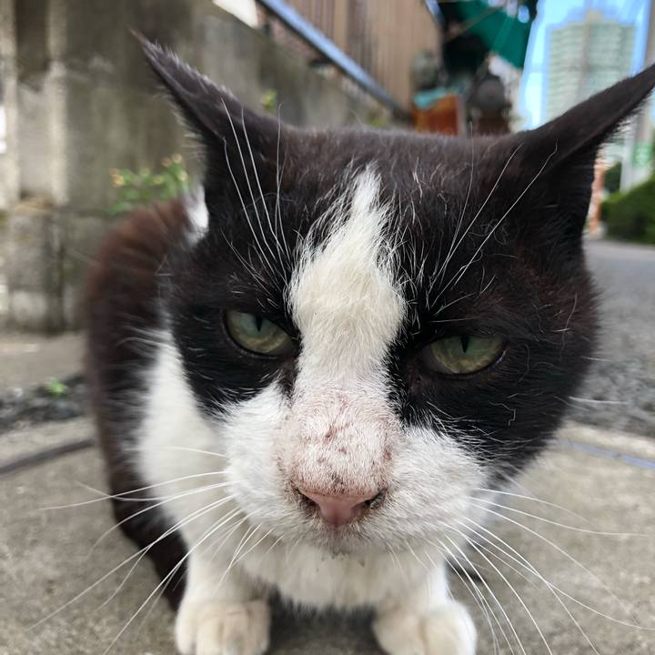 20407267 6583 4f20 85fc 4ff7b634accf 1524066496869