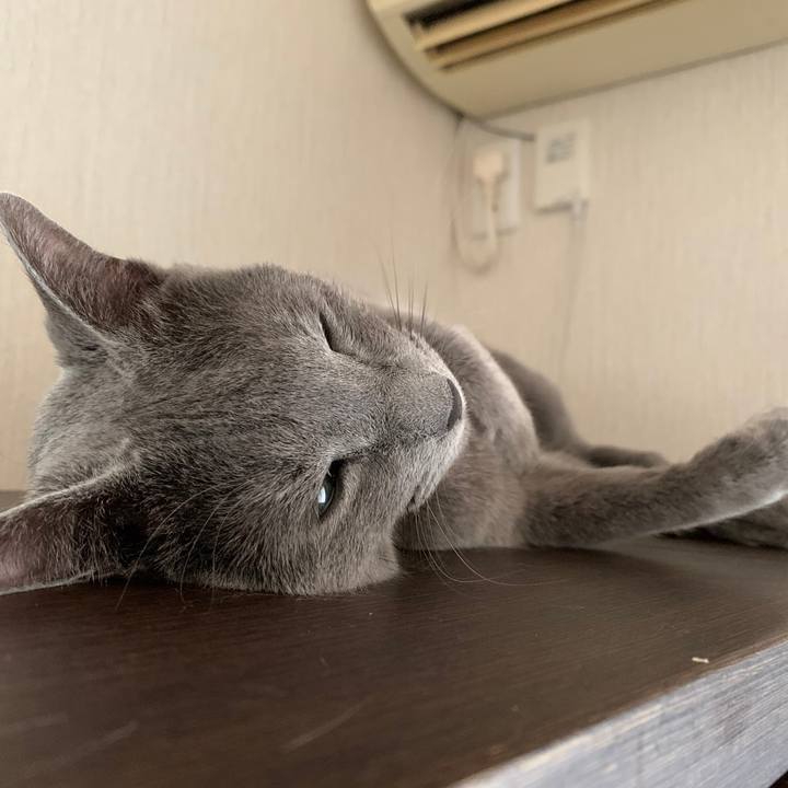 20407587 2f57 4be1 b871 3810ef2ae49b 1641303080818