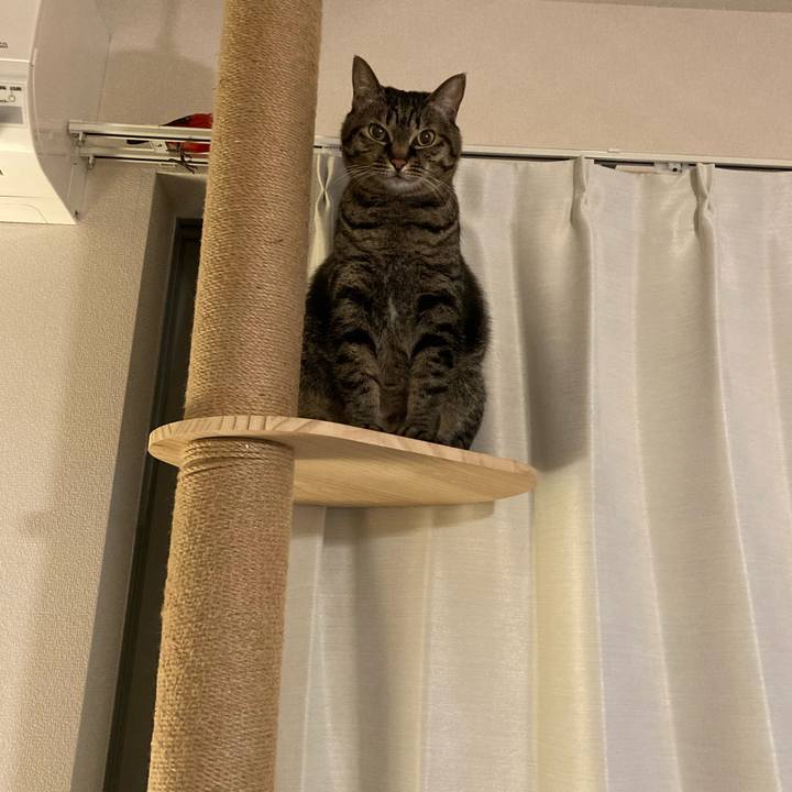 20407ddf 7d45 42f5 b70c 59f98fd2888b 1611229423618