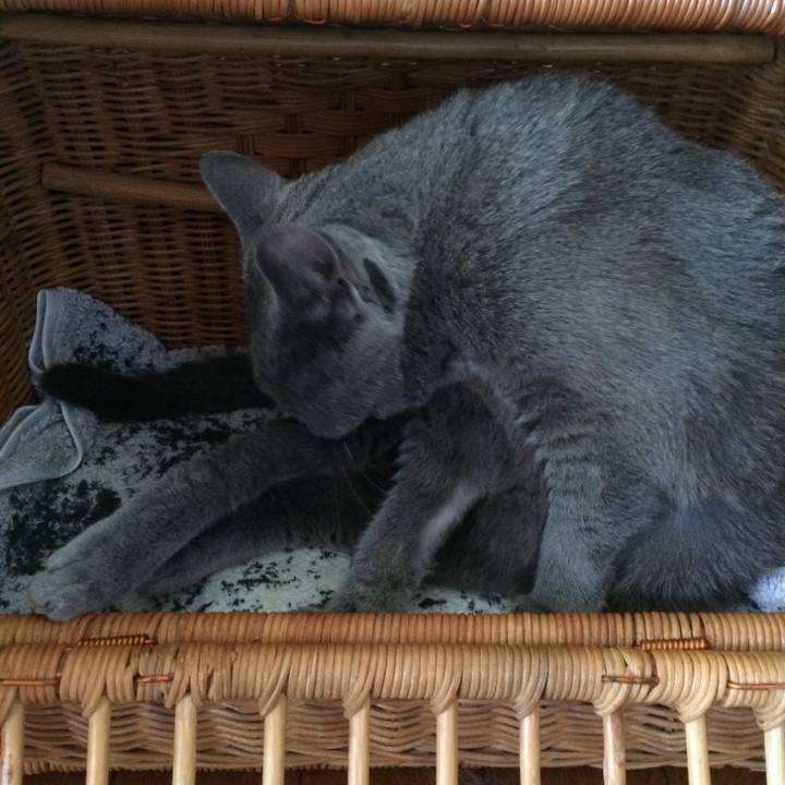 2040b833 7409 42f3 83c2 427beb5a718f 1534977301273