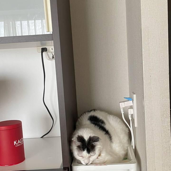 20410f80 d859 4132 84a3 8e6c6e5183f3 1623900494108