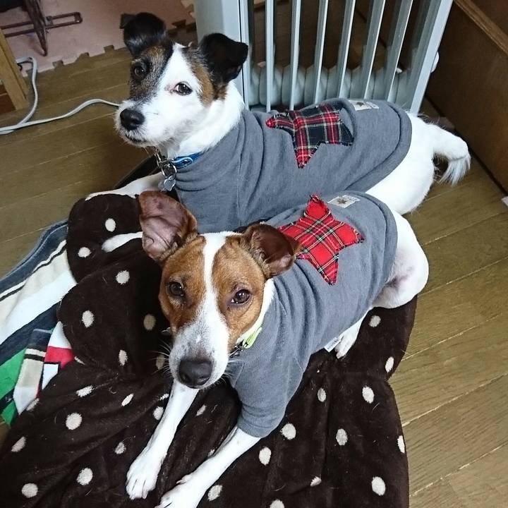 204124b4 7656 46d0 a569 d51753fd637e 1580774594623