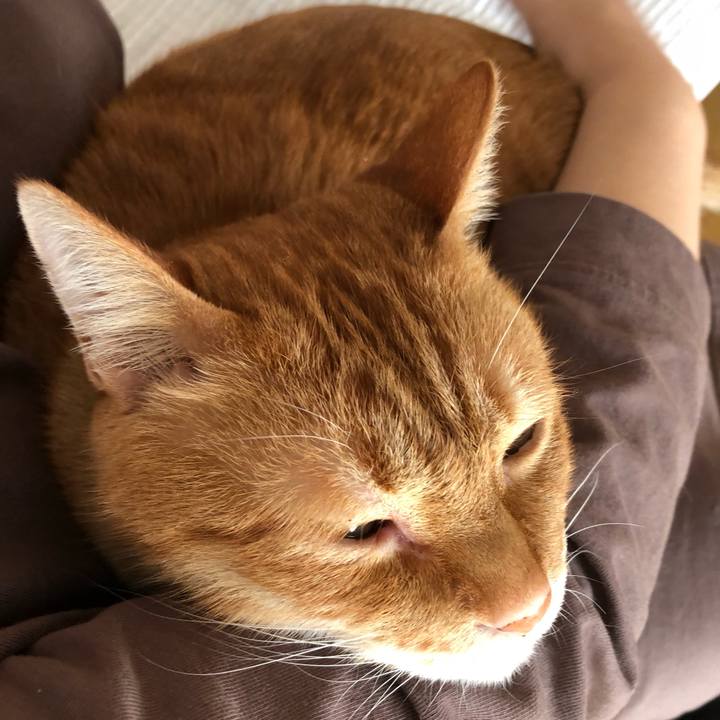 20414dfb b6df 40fa 8619 82295a864cdd 1642292761598