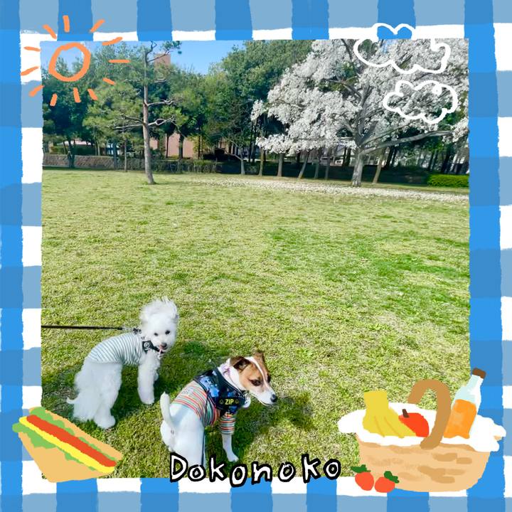 2042063a a7e3 46f8 89b9 5caa3efff646 1744421603885