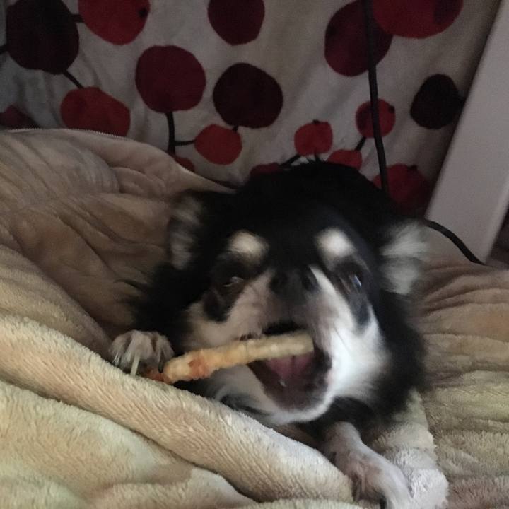 20421000 5457 4ee8 981d 4ea30db135c5 1508402498780