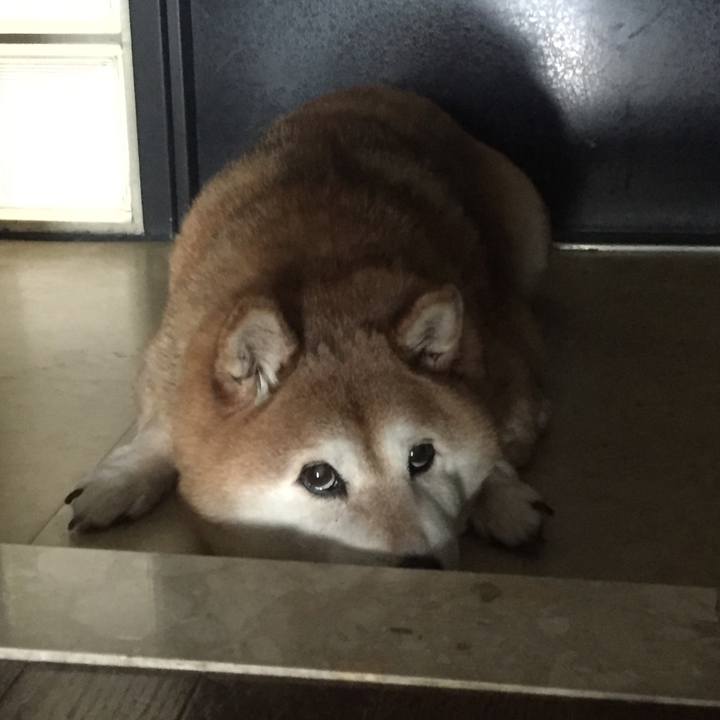 20427f9c 4c28 4190 b99e 1e6d256a6c3f 1524273380503