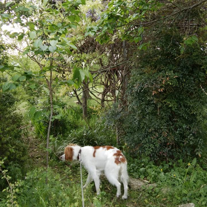 204284f0 ab1b 4850 83f0 674a14626c3d 1523794413200