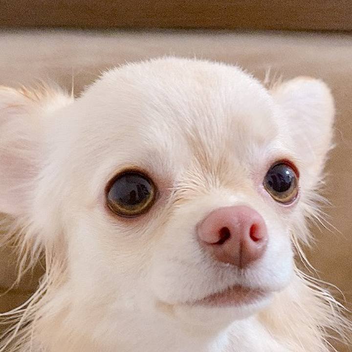 2042a7b2 30c5 4a4a 9ae7 9a5f3313fdb9 1611320059290