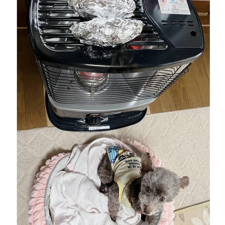 204301d7 66b0 453e ae31 65d8b8efef0c 1746515260929