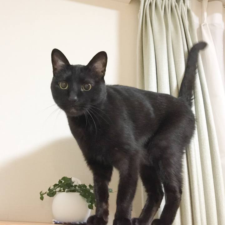 20431956 9db3 4c9e 815b c1dbe105f45c 1558445456636