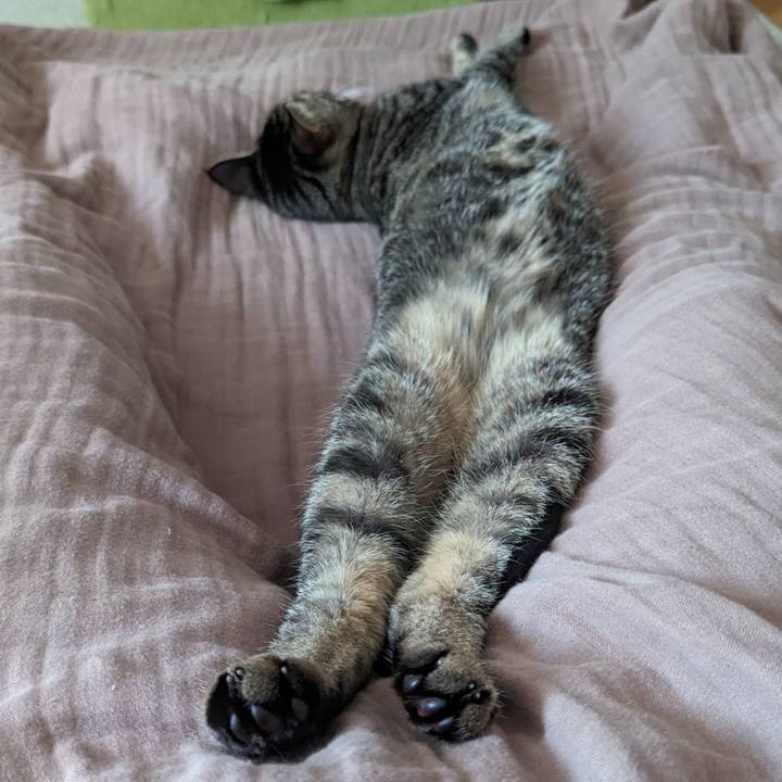 20431e79 8055 46a1 a44a bd5cb06092ed 1718782930086