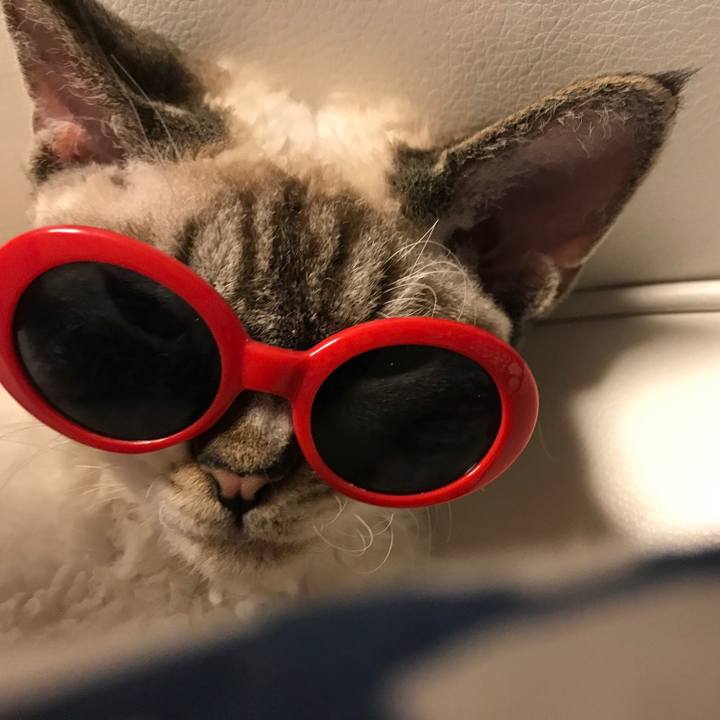 2043330a 6828 4a16 84cc a1d6887bf4f4 1597505721075