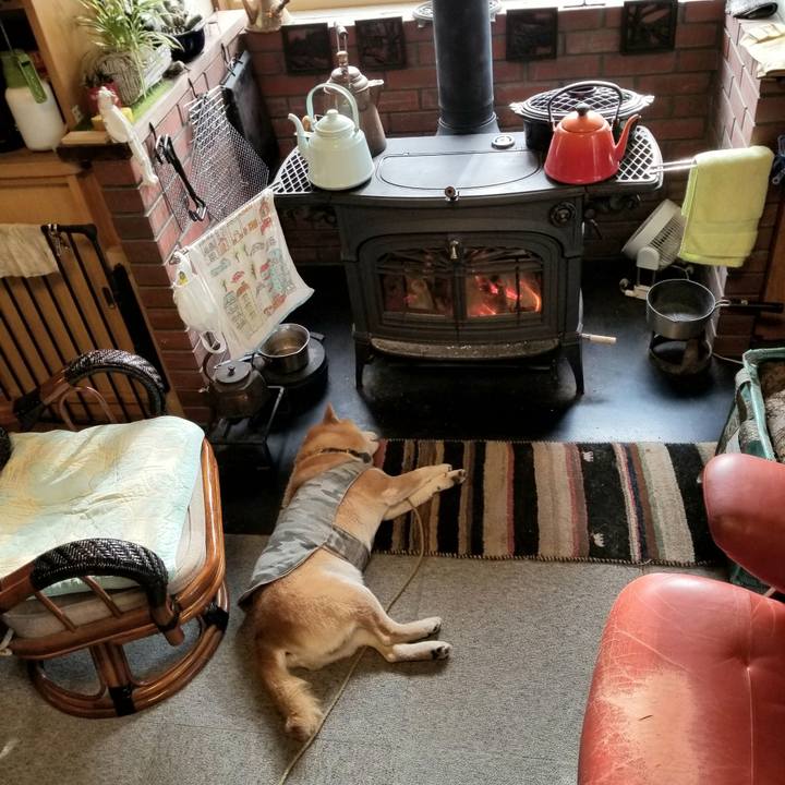 20433916 00e9 4b42 a3ad 0bc91eccb1d2 1616108642952