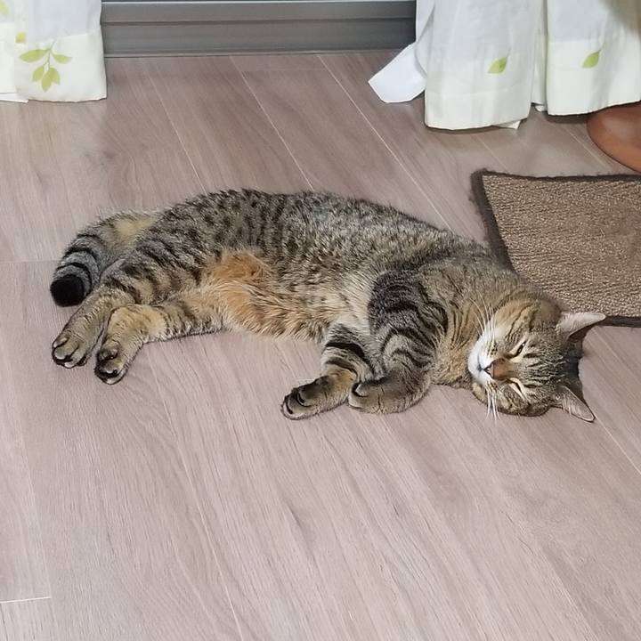 204355ca ecd4 45e0 9800 ebd2e79d4a0a 1605730851286