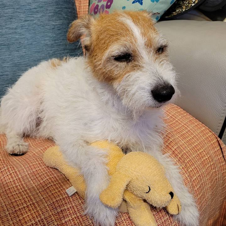 2043872d 8b97 43cc bf4e 1b99196321e6 1723724850424