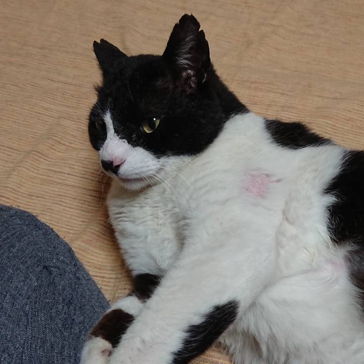 2043dc9d b107 45a3 8c6a 8b31b22cec0a 1590137965730