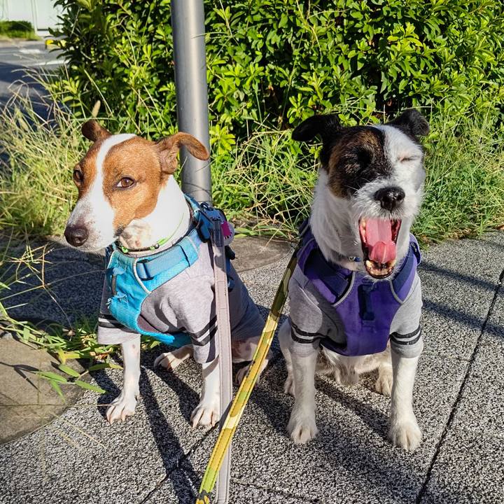 2044d4de 9c75 4acd 97fc c0215b0c93ed 1660253329560