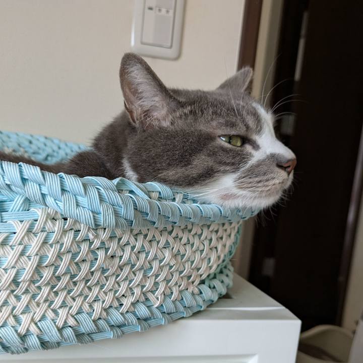 20452010 8e0d 4b80 a02e 1a4ffe6999be 1727479572565