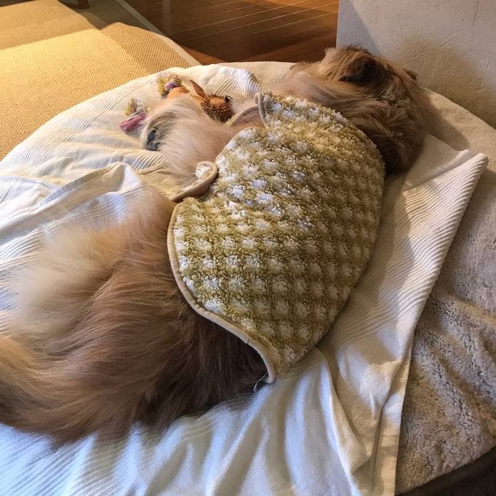 20453f03 4469 402b bc80 8c63a2760e05 1644303342000