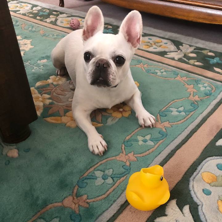 204541e8 e40e 438e ad07 b5490865210a 1659770040809