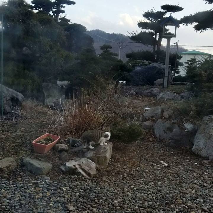 20454981 5070 45c6 b74c ad387b8e8ba6 1639996154329