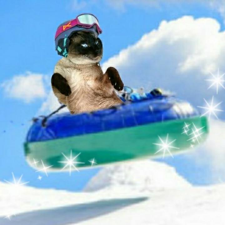 204562d7 1e9c 4d1c b7a1 c73abdb9153c 1547382019155