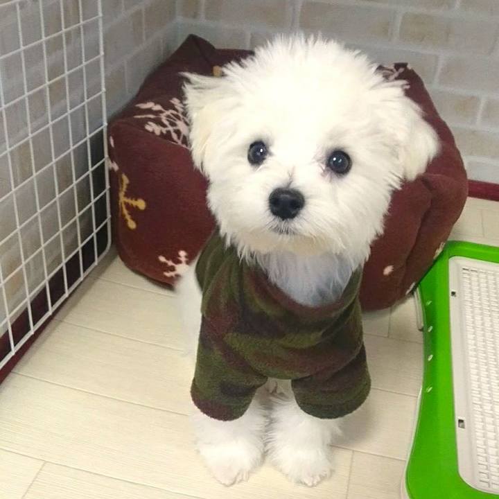 2045722d e3fd 4ced 9018 5250fc11c09b 1511330111956