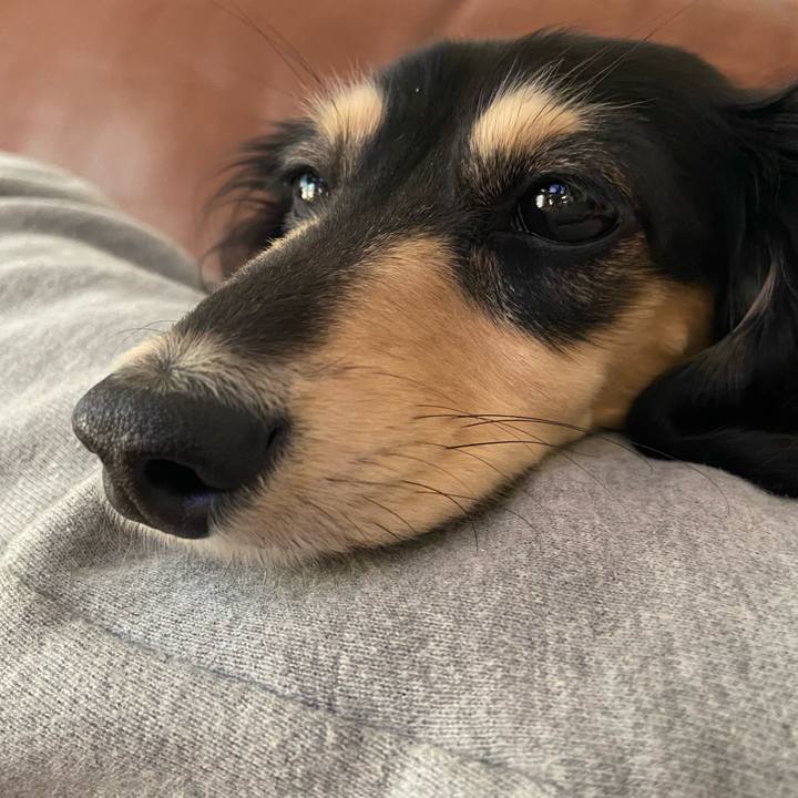 20457482 40e5 4c5b 9348 9ffa33c45501 1740617112910