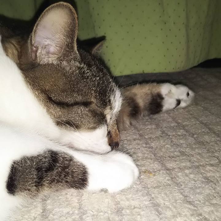 20457f4c 1fc3 4acc a44e 061e869f3220 1613061071096