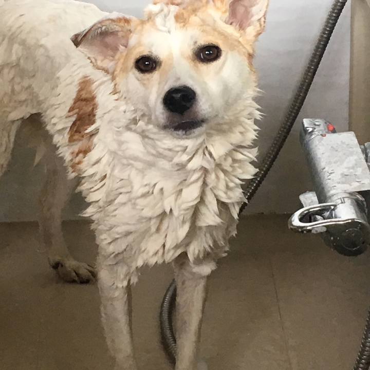 20458ead 7469 4f6f a12f 9317bc21a9f5 1529142519310