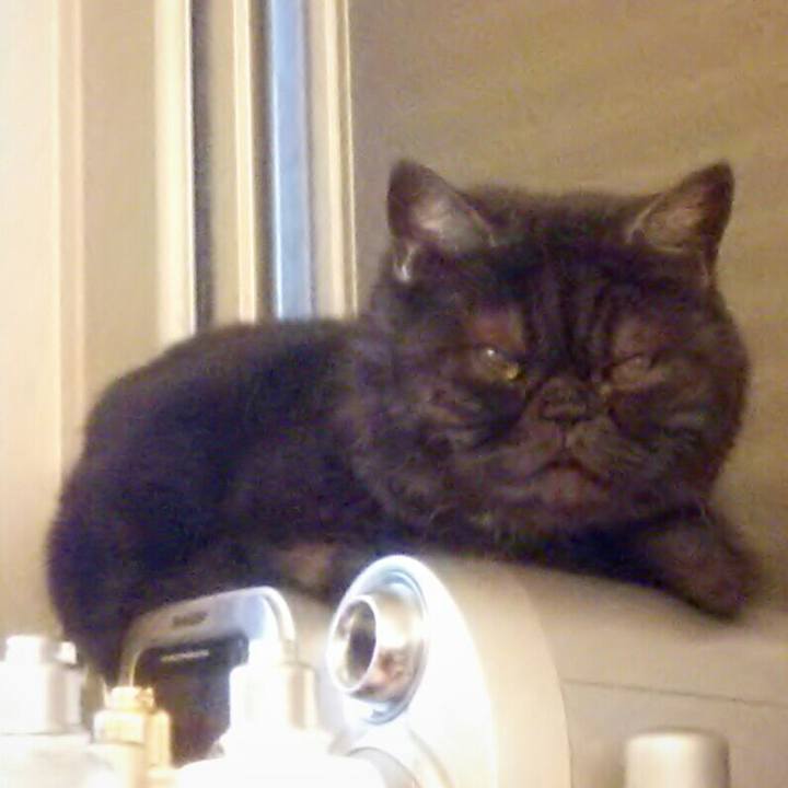 2045a068 901b 44f2 8072 1a799f05a915 1527719360261