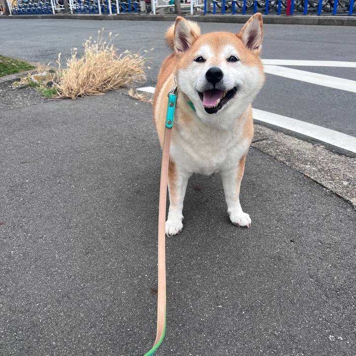 2045c3b7 779e 4935 85d6 2377b6dcfa82 1708413653597