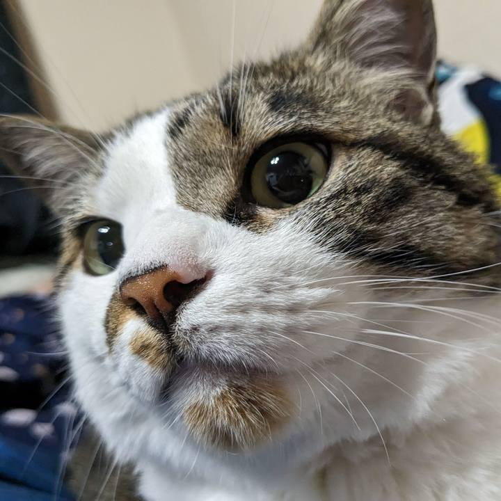 20460381 7ae3 43e8 9ab5 1af6af15c404 1717067202513