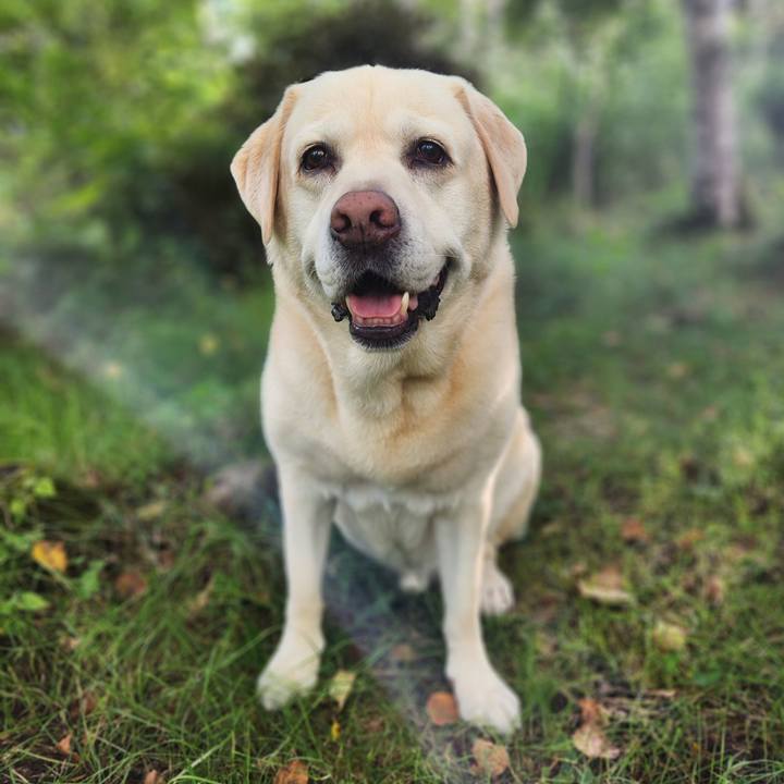 20461240 0abe 4df6 a9ab 0d927483ba73 1754553763047