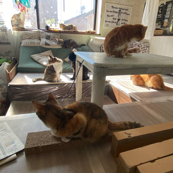 20462298 eaa4 4d7f a64d 14afd7427681 1611971536453