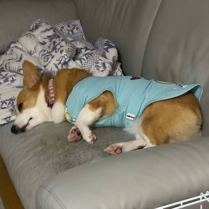 20463af6 24ae 42d7 8b50 8eca2108a0e7 1759424394441