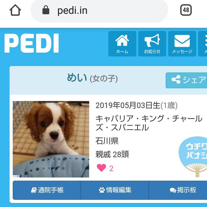 204640e8 8f26 465f a889 5d739d0cf147 1589624504432