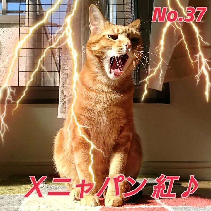 20468c92 cbe6 44c5 a175 4347950f0c59 1525520693636