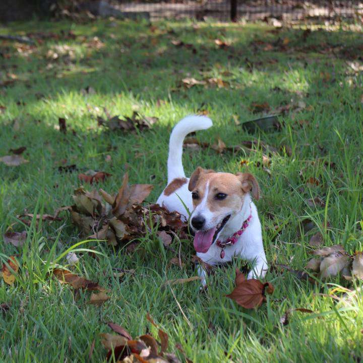 204690ed 75b1 4c88 80be 1a63e411ef9f 1538890133850