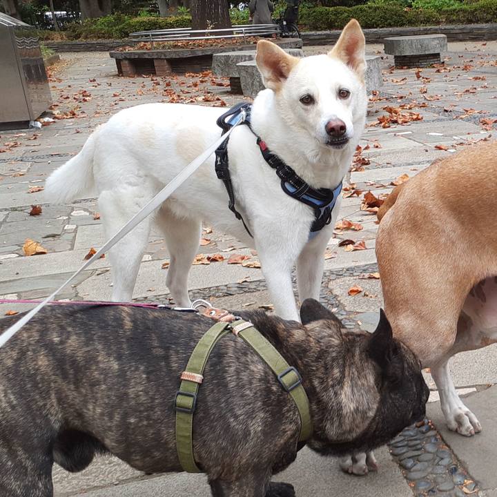 2046c1bf 5b22 41e0 9e54 03bf0bcce1bc 1667614567467