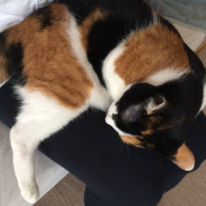 2046f831 92fa 4815 8f44 12ac1763f106 1516418584773