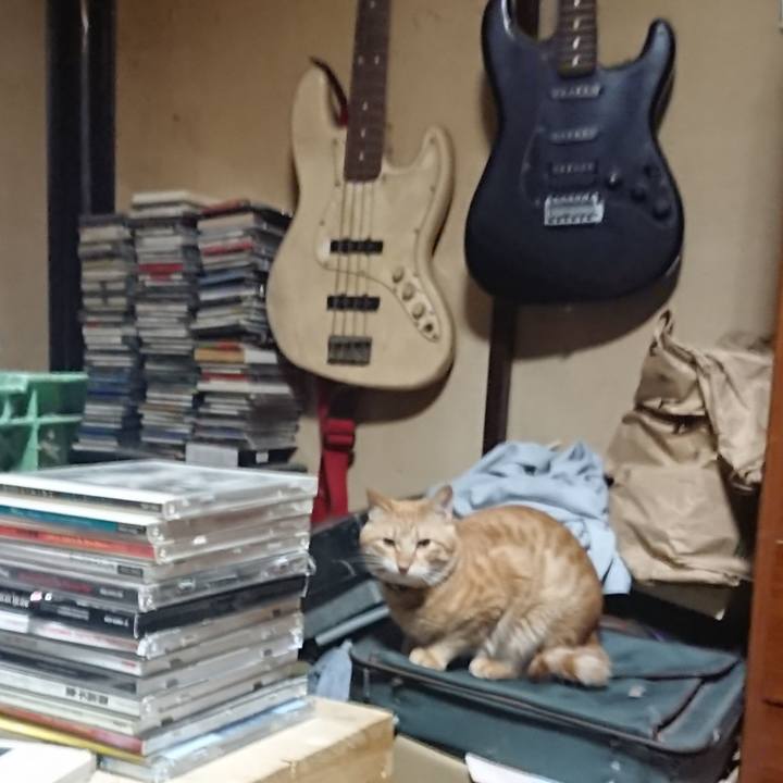 2046faf1 353c 4480 a6f8 6a4d622d782e 1643749646637