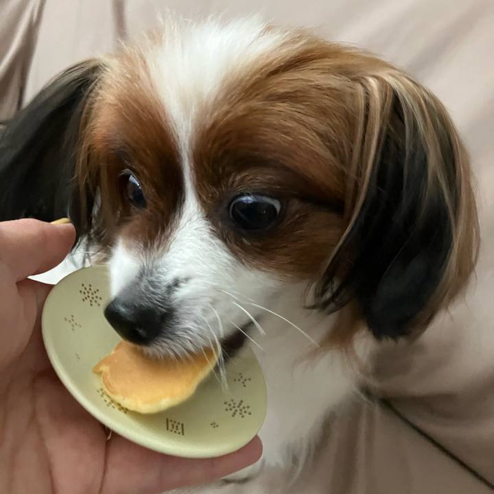 2046ff73 e39c 4f7a bf6b 1a49615e7b93 1748143478119