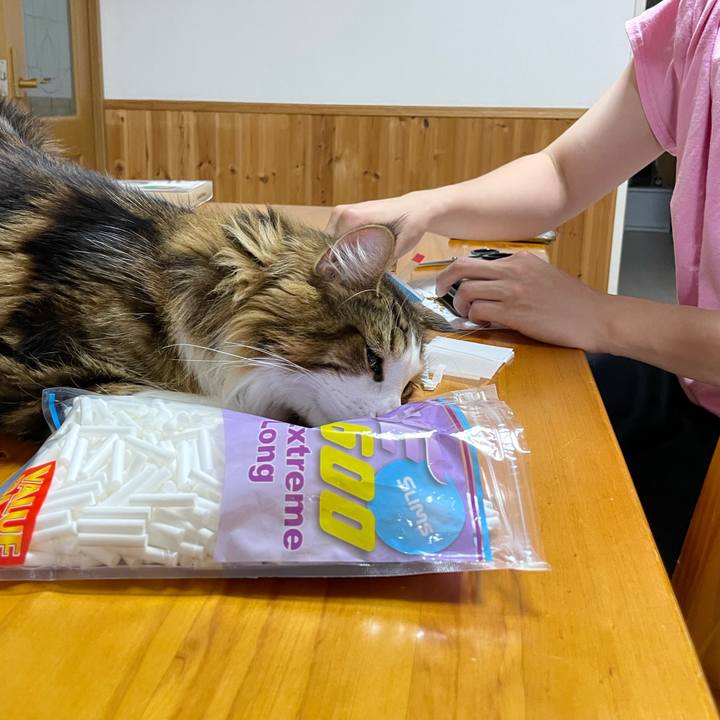 2047179b 4836 4d33 9166 fa75ab3b67b9 1653996941025