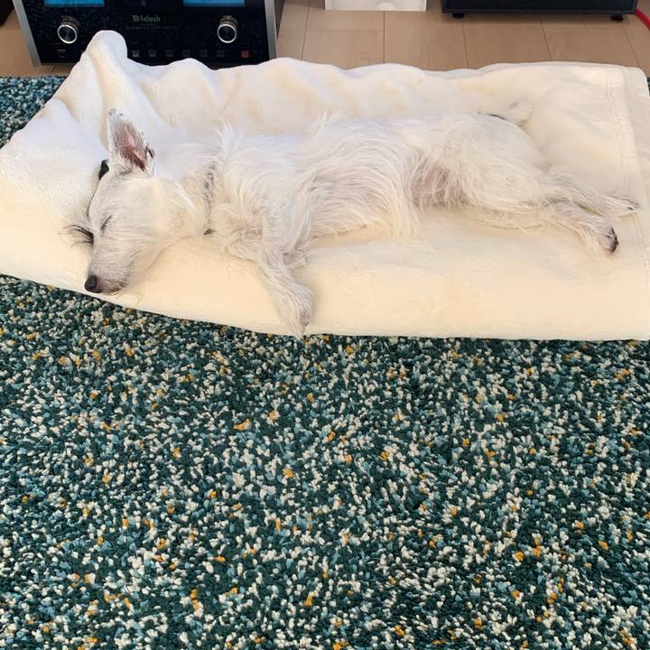 20473c05 9f10 40f5 91ca 13dfe4c72a15 1695615473135