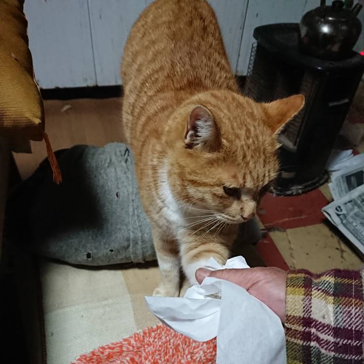 204755ec 06cd 413d 8270 348e59bb6757 1577693672702