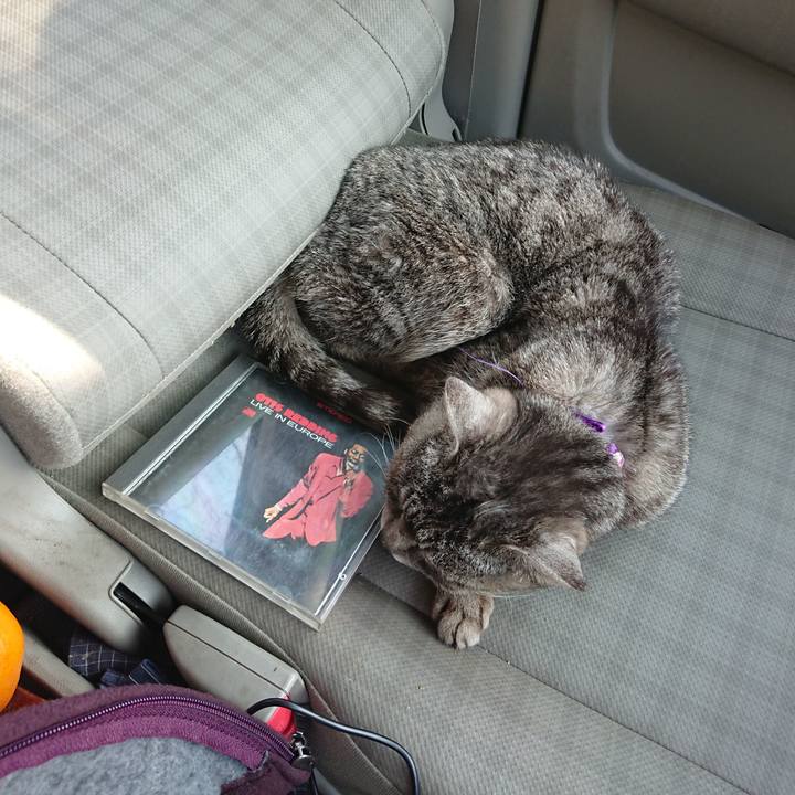 2047762e 11a5 499b bbb8 2655e5b124b9 1582956594971