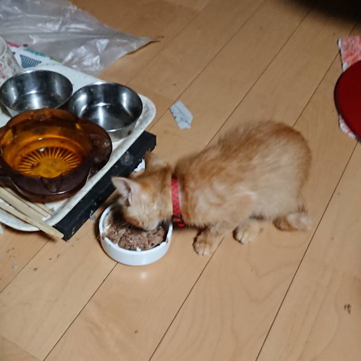 2047c7d8 0da6 4f79 86b9 c2ca4c583b70 1629489549399